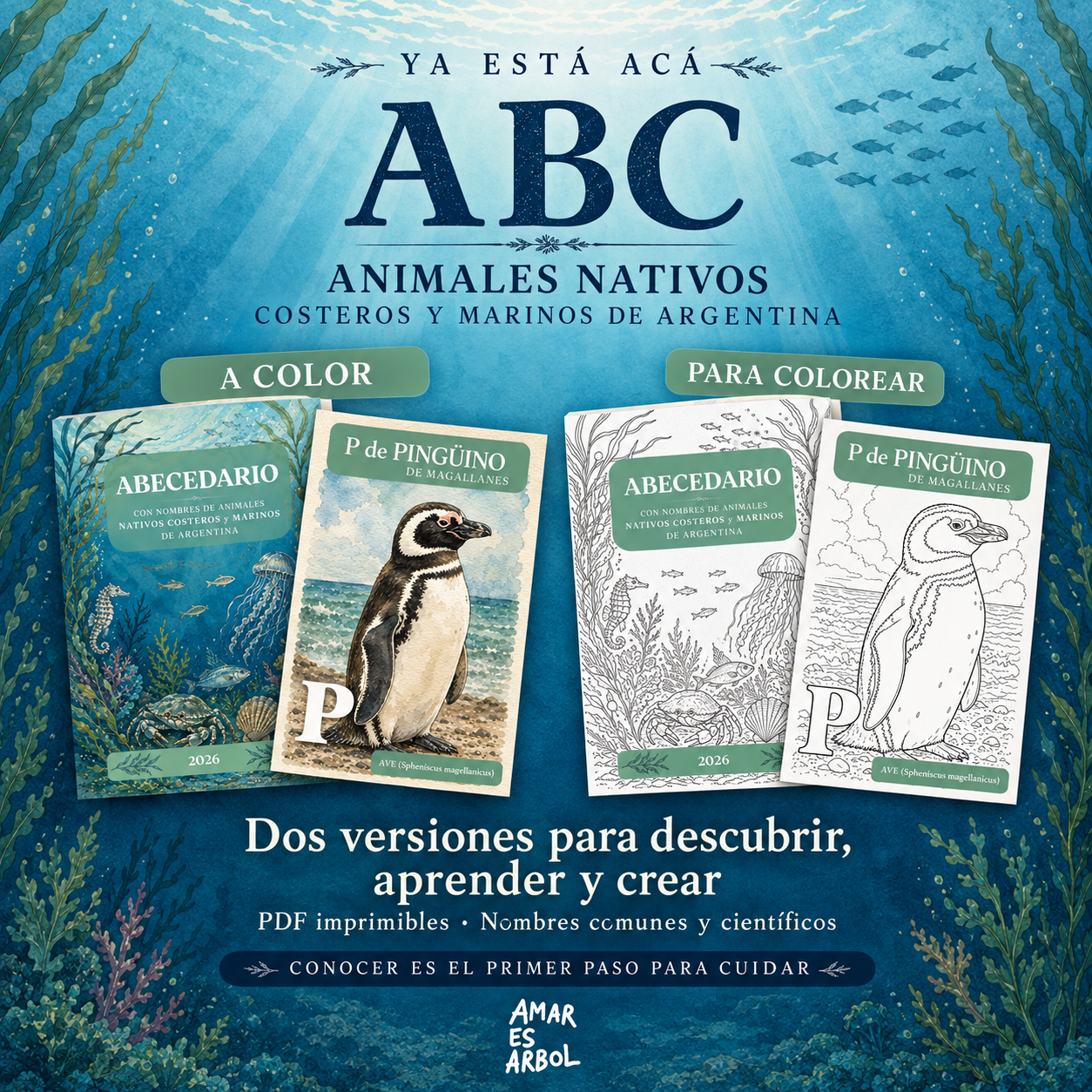 Abecedario con nombres de animales nativos costeros y marinos de Argentina