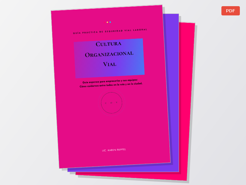 GUIA: CULTURA ORGANIZACIONAL VIAL